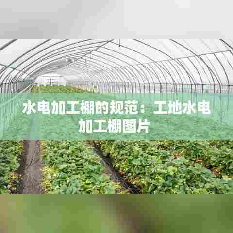 水电加工棚的规范:工地水电加工棚图片