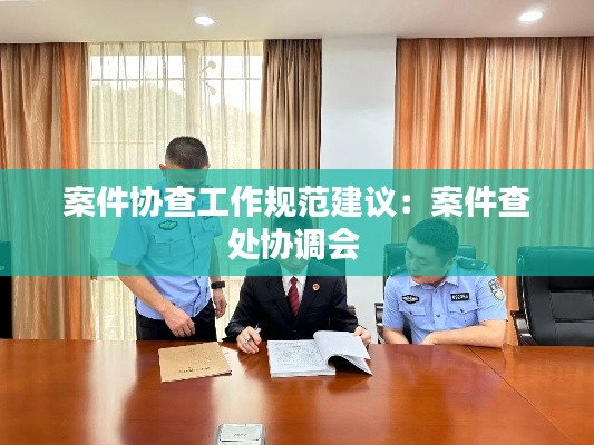 案件协查工作规范建议:案件查处协调会