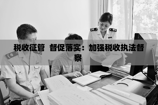 税收征管 督促落实:加强税收执法督察