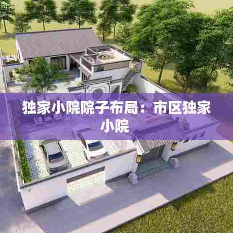 独家小院院子布局:市区独家小院