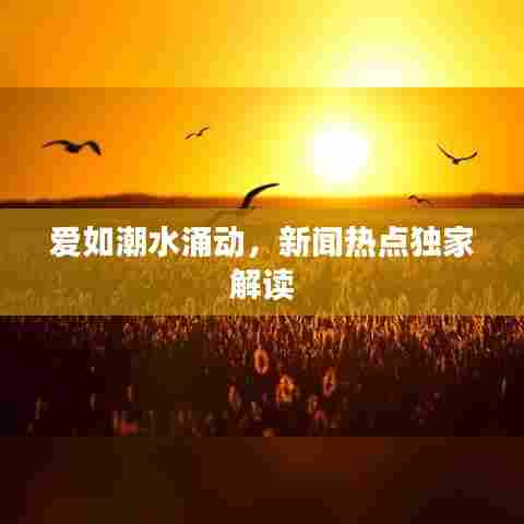 爱如潮水涌动，新闻热点独家解读