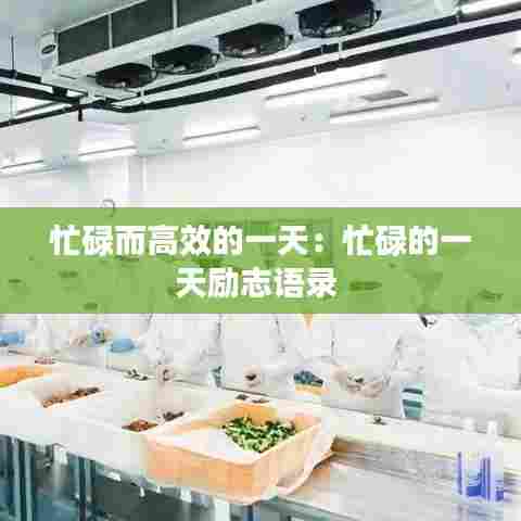 忙碌而高效的一天:忙碌的一天励志语录