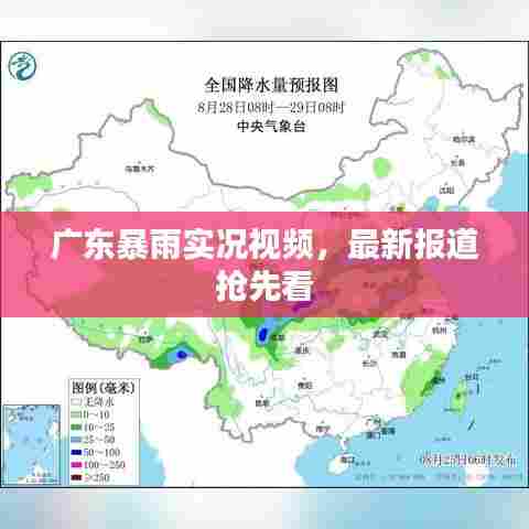 广东暴雨实况视频,最新报道抢先看