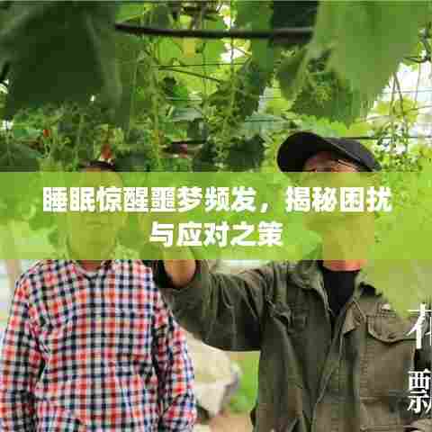 睡眠惊醒噩梦频发，揭秘困扰与应对之策