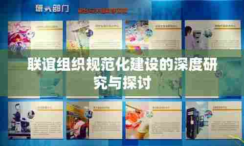 联谊组织规范化建设的深度研究与探讨