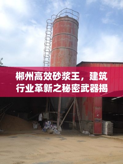 郴州高效砂浆王,建筑行业革新之秘密武器揭秘!