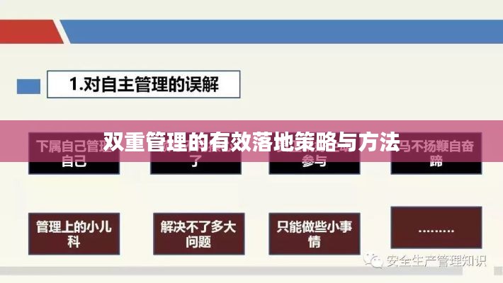双重管理的有效落地策略与方法
