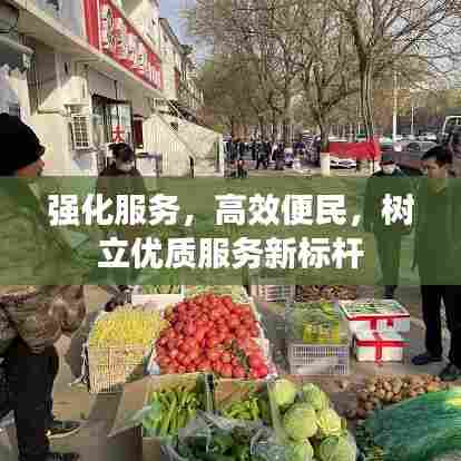强化服务，高效便民，树立优质服务新标杆