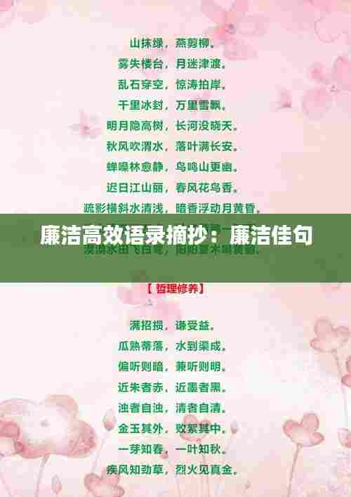 廉洁高效语录摘抄：廉洁佳句 