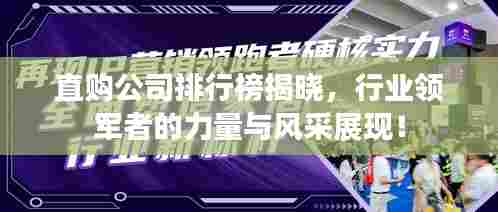 直购公司排行榜揭晓，行业领军者的力量与风采展现！