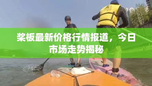 桨板最新价格行情报道,今日市场走势揭秘