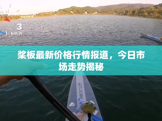 桨板最新价格行情报道，今日市场走势揭秘