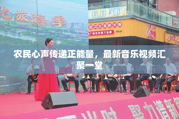 农民心声传递正能量，最新音乐视频汇聚一堂