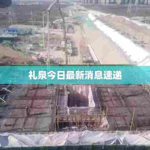 礼泉今日最新消息速递