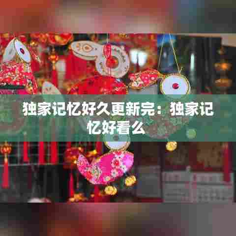 独家记忆好久更新完:独家记忆好看么