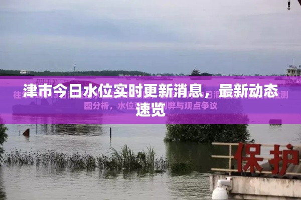 津市今日水位实时更新消息，最新动态速览