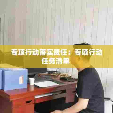 专项行动落实责任：专项行动任务清单 