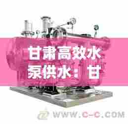 甘肃高效水泵供水:甘肃泵站