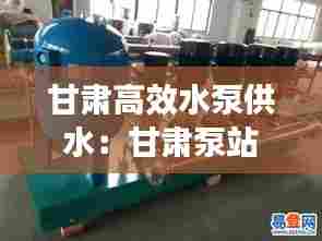 甘肃高效水泵供水:甘肃泵站