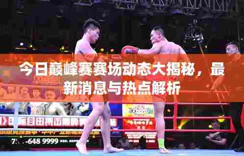 今日巅峰赛赛场动态大揭秘,最新消息与热点解析