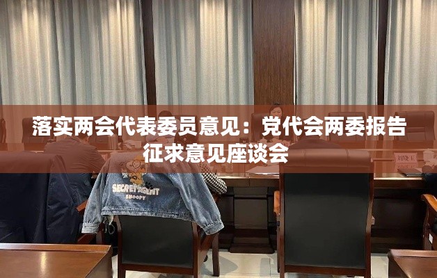 落实两会代表委员意见：党代会两委报告征求意见座谈会 