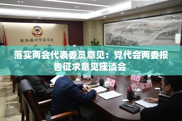 落实两会代表委员意见:党代会两委报告征求意见座谈会