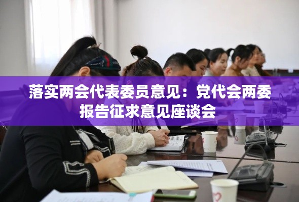 落实两会代表委员意见:党代会两委报告征求意见座谈会