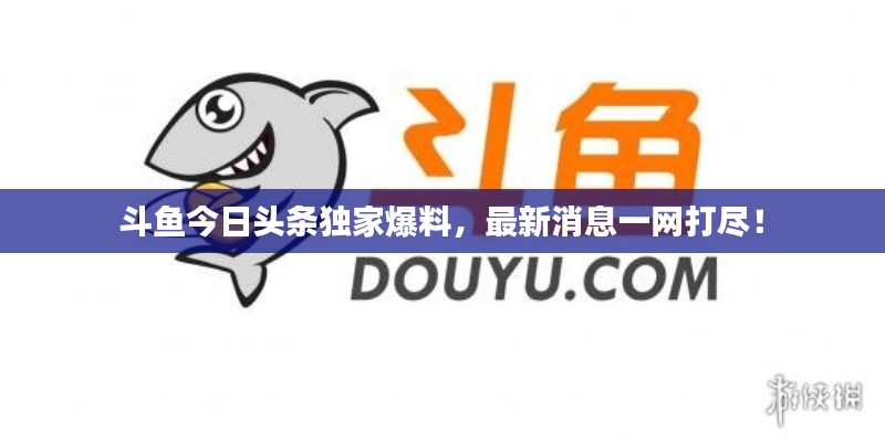 斗鱼今日头条独家爆料，最新消息一网打尽！