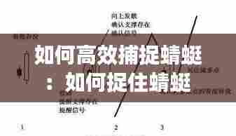 如何高效捕捉蜻蜓:如何捉住蜻蜓