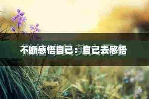 不断感悟自己:自己去感悟