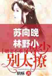 苏向晚林野小说独家侵占: