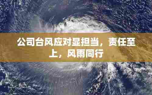 公司台风应对显担当，责任至上，风雨同行