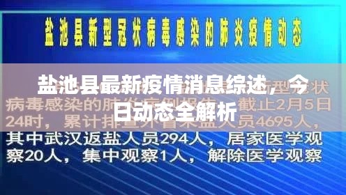 盐池县最新疫情消息综述,今日动态全解析