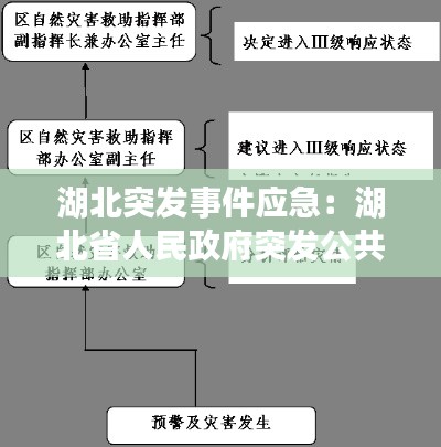 湖北突发事件应急:湖北省人民政府突发公共事件总体应急预案