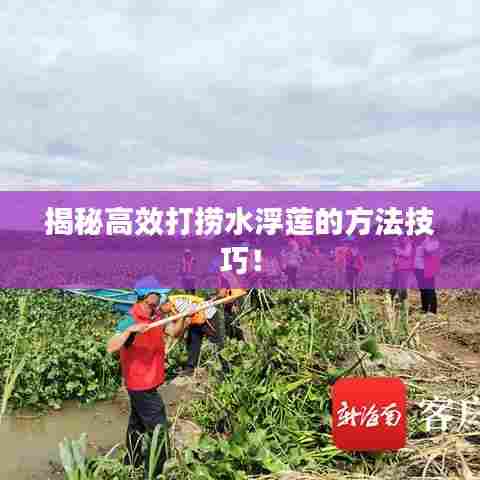 揭秘高效打捞水浮莲的方法技巧！