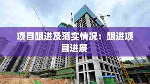 项目跟进及落实情况:跟进项目进展
