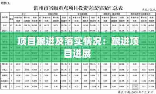 项目跟进及落实情况：跟进项目进展 