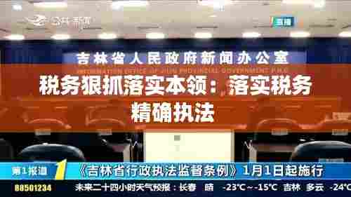 税务狠抓落实本领：落实税务精确执法 