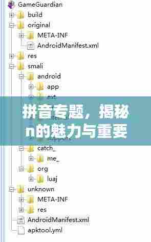 拼音专题，揭秘n的魅力与重要性