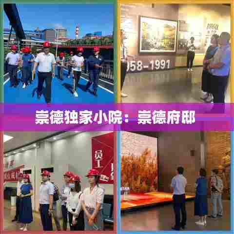 崇德独家小院：崇德府邸 