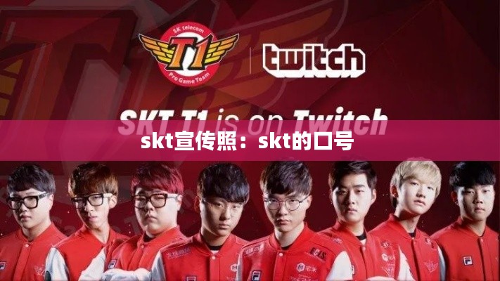 skt宣传照：skt的口号 
