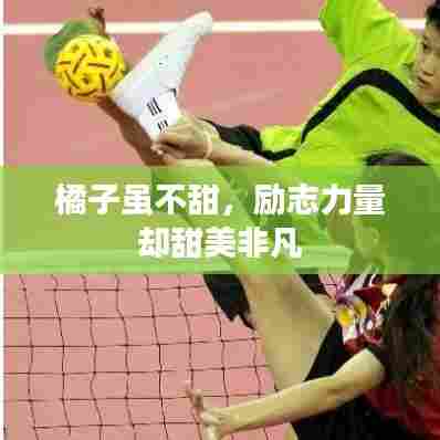 橘子虽不甜,励志力量却甜美非凡