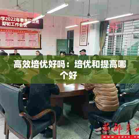 高效培优好吗:培优和提高哪个好