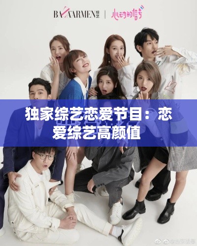 独家综艺恋爱节目:恋爱综艺高颜值