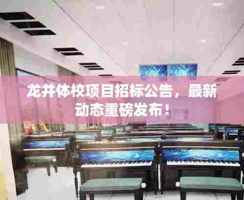龙井体校项目招标公告,最新动态重磅发布!