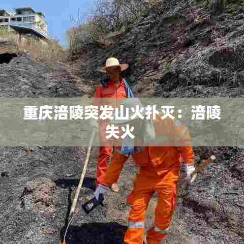 重庆涪陵突发山火扑灭:涪陵失火