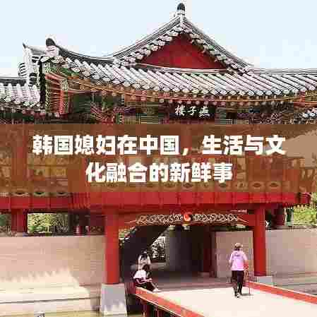 韩国媳妇在中国,生活与文化融合的新鲜事