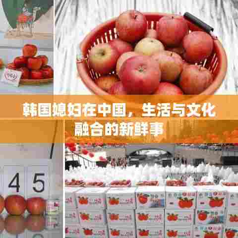 韩国媳妇在中国,生活与文化融合的新鲜事