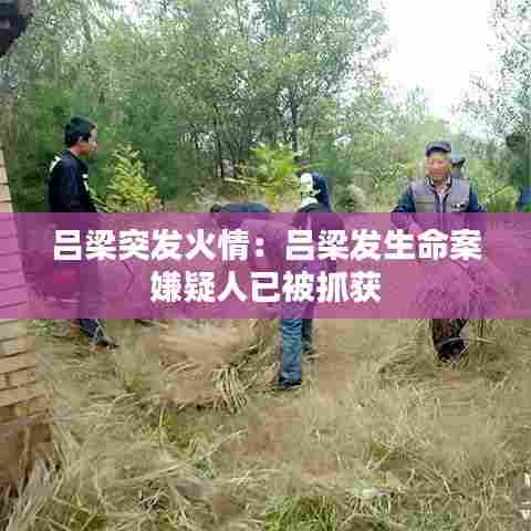 吕梁突发火情:吕梁发生命案 嫌疑人已被抓获