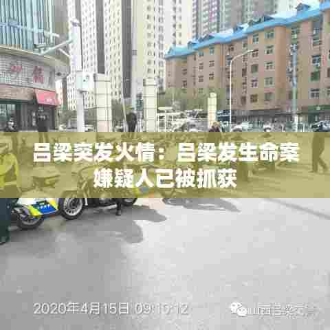 吕梁突发火情:吕梁发生命案 嫌疑人已被抓获